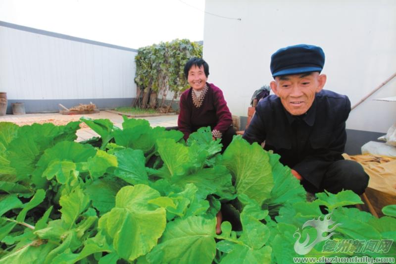 30余萬農(nóng)民實(shí)現(xiàn)家門口就業(yè)，農(nóng)民年人均純收入達(dá)10850元